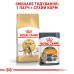 Корм для котів Royal Canin BENGAL ADULT Корм для котів Royal Canin BENGAL ADULT