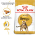 Корм для котів Royal Canin BENGAL ADULT Корм для котів Royal Canin BENGAL ADULT