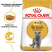 Корм для котів Royal Canin British Shorthair Adult Корм для котів Royal Canin British Shorthair Adult