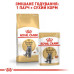 Корм для котів Royal Canin British Shorthair Adult Корм для котів Royal Canin British Shorthair Adult