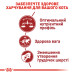 Корм для котів Royal Canin FIT Корм для котів Royal Canin FIT