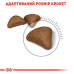 Корм для котів Royal Canin HAIRBALL CARE Корм для котів Royal Canin HAIRBALL CARE