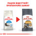 Корм для котів Royal Canin INDOOR LONGHAIR Корм для котів Royal Canin INDOOR LONGHAIR