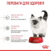 Корм для кошенят Royal Canin Kitten