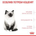 Корм для кошенят Royal Canin Kitten
