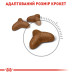 Корм для котів Royal Canin LIGHT WEIGHT CARE Корм для котів Royal Canin LIGHT WEIGHT CARE