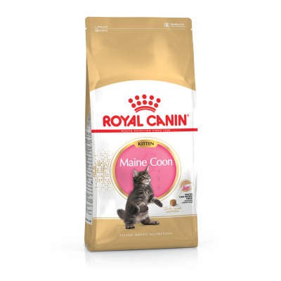 Корм для кошенят Royal Canin MAINE COON KITTEN Корм для кошенят Royal Canin MAINE COON KITTEN