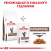 Корм для котів Royal Canin Gastrointestinal Корм для котів Royal Canin Gastrointestinal