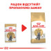 Корм для котів Royal Canin British Shorthair Adult pouches