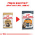 Корм для котів Royal Canin Maine Coon Adult pouches Корм для котів Royal Canin Maine Coon Adult pouches