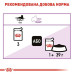 Корм для котів Royal Canin Sterilised шматочки в соусі Корм для котів Royal Canin Sterilised шматочки в соусі