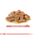 Корм для котів Royal Canin Ageing 11+ Корм для котів Royal Canin Ageing 11+