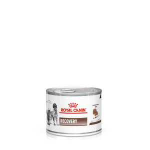 Корм для котів Royal Canin Recovery