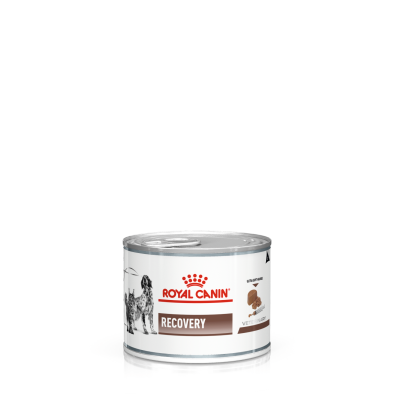 Корм для котів Royal Canin Recovery Корм для котів Royal Canin Recovery