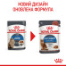 Корм для котів Royal Canin LIGHT WEIGHT CARE GRAVY Корм для котів Royal Canin LIGHT WEIGHT CARE GRAVY