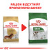 Корм для собак Royal Canin Dachshund Adult Корм для собак Royal Canin Dachshund Adult