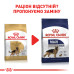Корм для собак Royal Canin German Shepherd Adult Корм для собак Royal Canin German Shepherd Adult