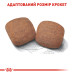 Корм для собак Royal Canin Giant Adult