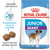 Корм для цуценят Royal Canin Giant Junior 