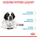 Корм для цуценят Royal Canin Giant Junior 