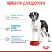 Корм для цуценят Royal Canin Giant Junior 