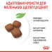 Корм для цуценят Royal Canin Giant Junior 