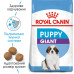 Корм для цуценят Royal Canin Giant Puppy