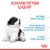 Корм для цуценят Royal Canin Giant Puppy