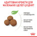 Корм для цуценят Royal Canin Giant Puppy