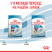 Корм для цуценят Royal Canin Giant Puppy