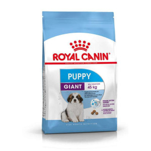 Корм для цуценят Royal Canin Giant Puppy Корм для цуценят Royal Canin Giant Puppy