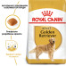 Корм для собак Royal Canin Golden Retriever Adult Корм для собак Royal Canin Golden Retriever Adult