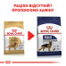 Корм для собак Royal Canin Golden Retriever Adult Корм для собак Royal Canin Golden Retriever Adult