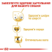 Корм для собак Royal Canin Golden Retriever Adult Корм для собак Royal Canin Golden Retriever Adult