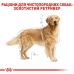 Корм для собак Royal Canin Golden Retriever Adult Корм для собак Royal Canin Golden Retriever Adult