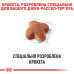 Корм для собак Royal Canin Jack Russell Terrier Adult Корм для собак Royal Canin Jack Russell Terrier Adult