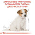 Корм для цуценят Royal Canin Jack Russell Terrier Puppy