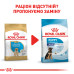 Корм для цуценят Royal Canin Labrador Retriver Puppy