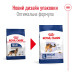 Корм для собак Royal Canin Maxi Adult Корм для собак Royal Canin Maxi Adult