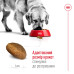 Корм для собак Royal Canin MAXI AGEING 8+