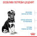 Корм для цуценят Royal Canin Maxi Puppy Корм для цуценят Royal Canin Maxi Puppy