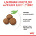 Корм для цуценят Royal Canin Maxi Puppy Корм для цуценят Royal Canin Maxi Puppy