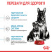 Корм для цуценят Royal Canin Maxi Starter Mother & Babydog Корм для цуценят Royal Canin Maxi Starter Mother & Babydog