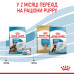 Корм для цуценят Royal Canin Maxi Starter Mother & Babydog Корм для цуценят Royal Canin Maxi Starter Mother & Babydog