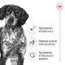 Корм для собак Royal Canin Medium Adult