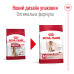 Корм для собак Royal Canin Medium Adult 7+ Корм для собак Royal Canin Medium Adult 7+