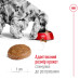Корм для собак Royal Canin Medium Adult 7+ Корм для собак Royal Canin Medium Adult 7+