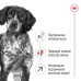 Корм для собак Royal Canin Medium Adult 7+ Корм для собак Royal Canin Medium Adult 7+