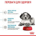 Корм для собак Royal Canin Medium Puppy