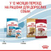 Корм для собак Royal Canin Medium Puppy